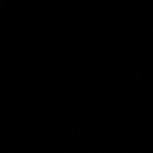 Meet your Posher, Anika